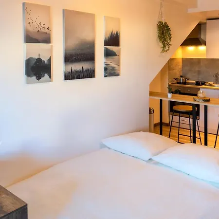 Le Nordik Proche Aeroport Cdg I Paris I Asterix Apartment Dammartin-en-Goele Exterior photo