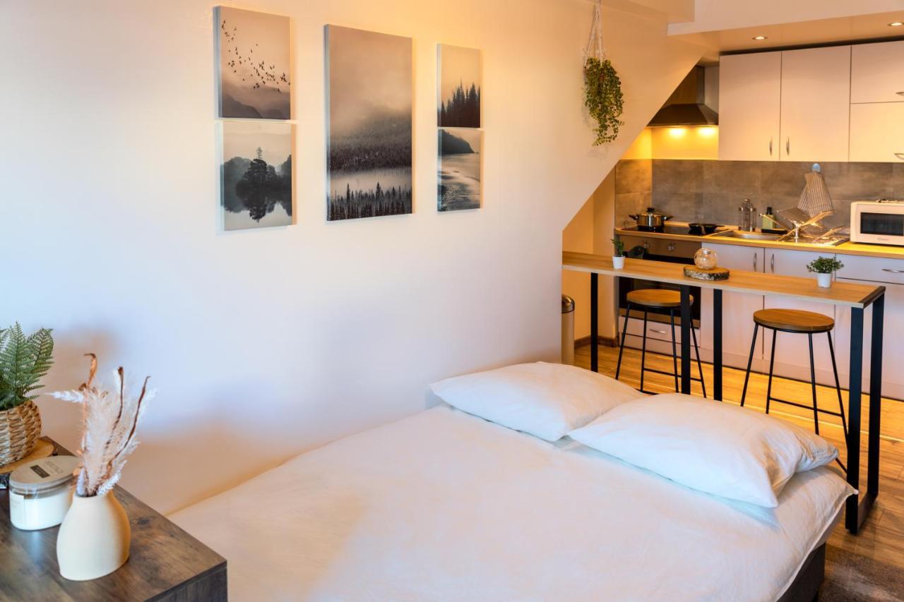 Apartment Le Nordik Proche Aeroport Cdg I Paris I Asterix